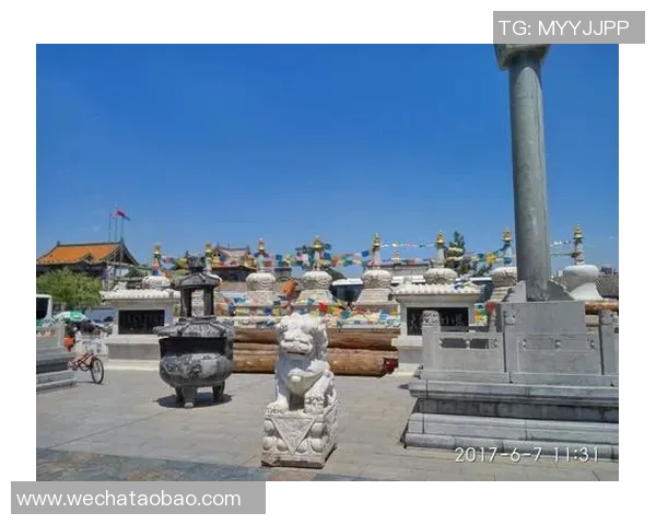 追寻绿茵场上的魅力她们为何钟情于足球明星的背后故事